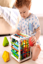 Baby Sorter Toy- Multi Sensory Shapes