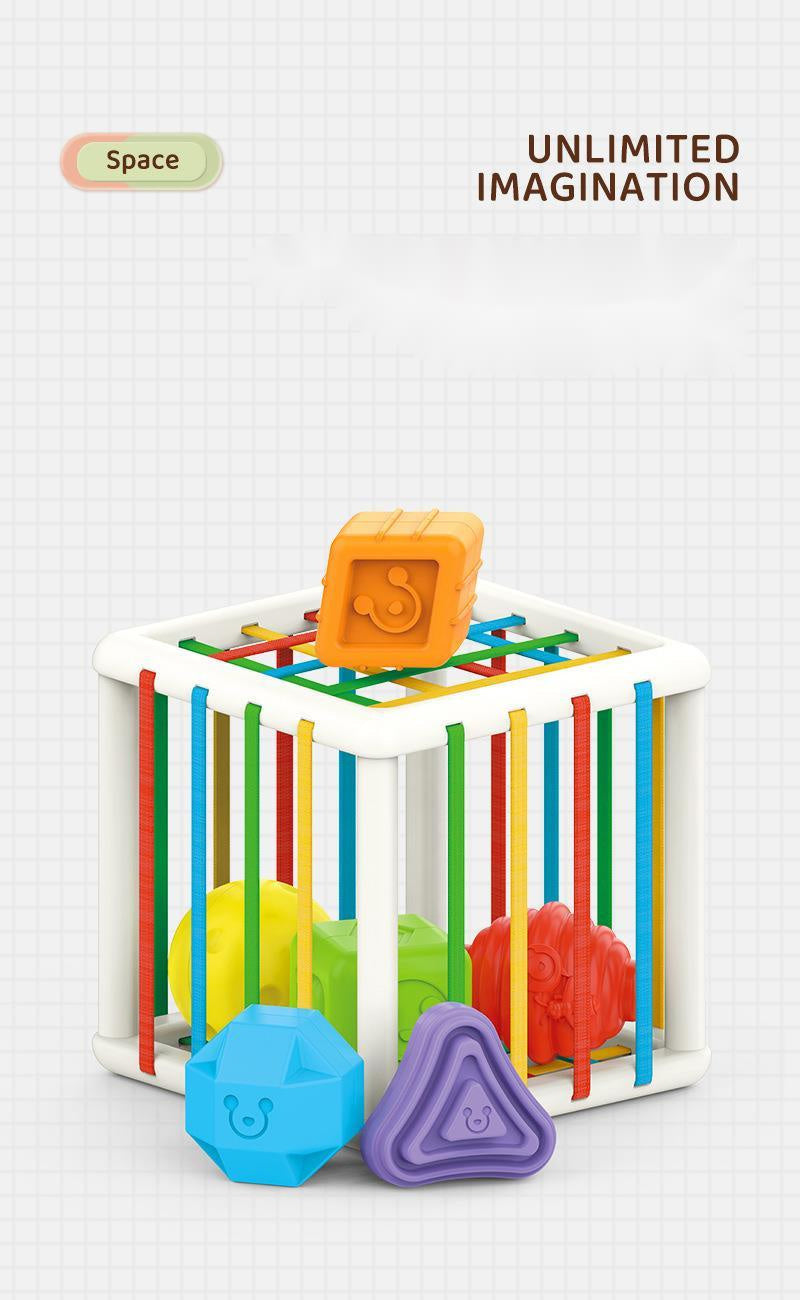 Baby Sorter Toy- Multi Sensory Shapes