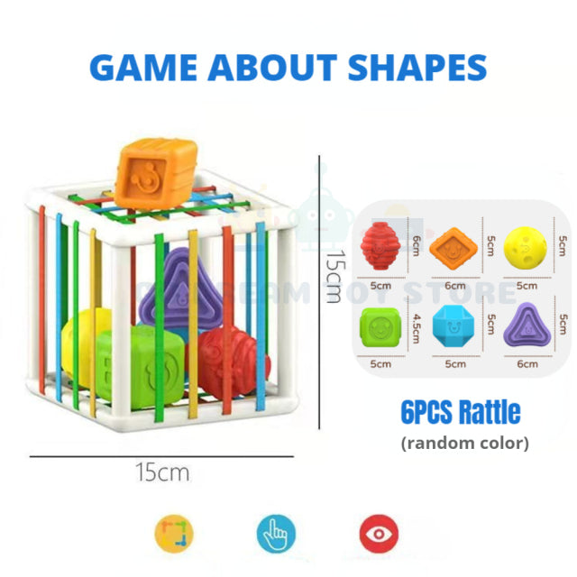 Baby Sorter Toy- Multi Sensory Shapes